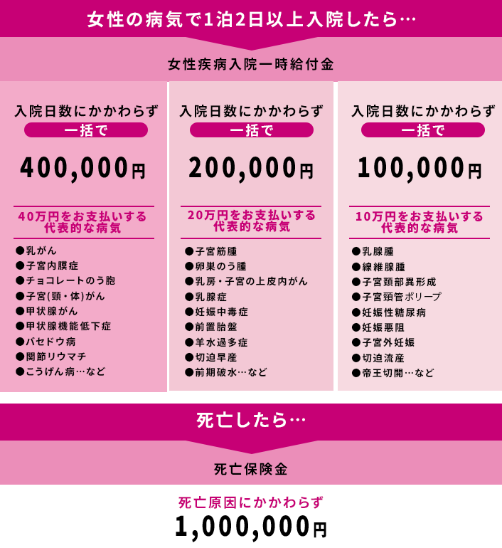 VeryBerry_保険のしくみ.png
