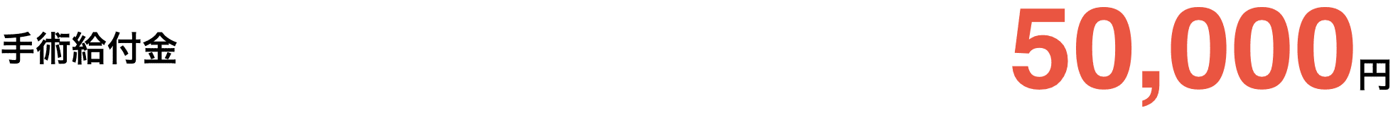 手術給付金